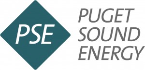 PSE Logo